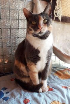 Trina Bild von Trina