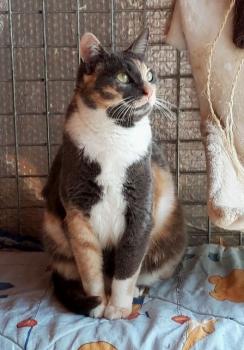 Trina Bild von Trina