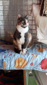 Trina Bild von Trina