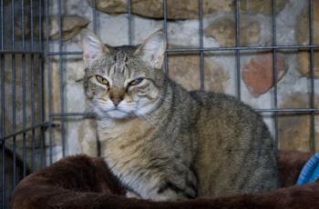 Migoya Bild von Migoya