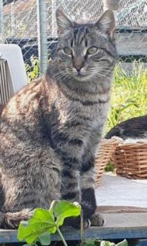 Simon Bild von Simon
