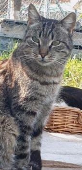 Simon Bild von Simon