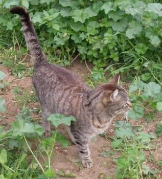 Simon Bild von Simon