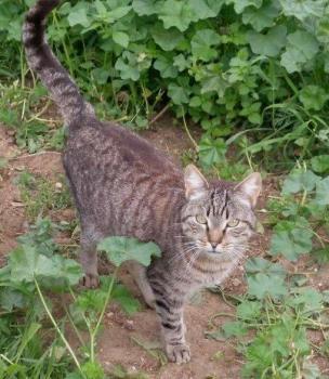Simon Bild von Simon