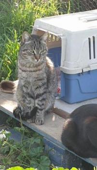 Simon Bild von Simon