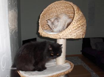 Sam Bild von Samantha