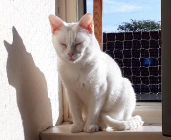 Sascha Bild von Sascha