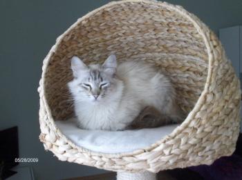 Sam Bild von Samantha
