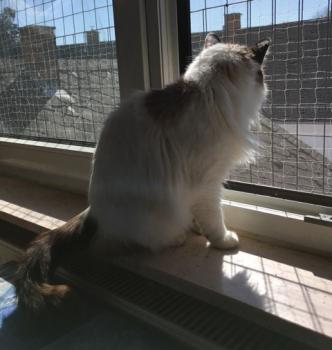 Amira Bild von Amira