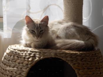 Sam Bild von Samantha