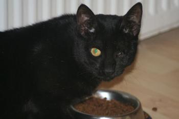 Byron Bild von Byron