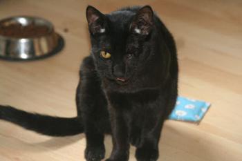 Byron Bild von Byron