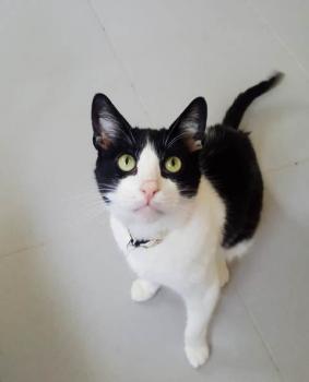 Victor Bild von Victor
