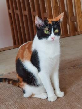 Loulou Bild von Loulou