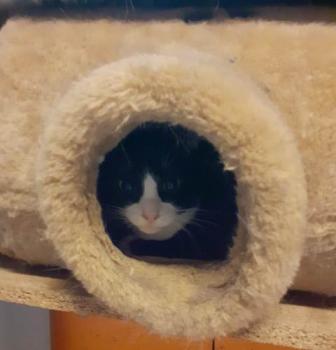 Pinki Bild von Pinky