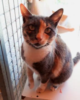 Trina Bild von Trina