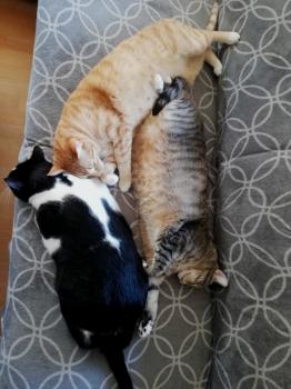 Naana Bild von Naana