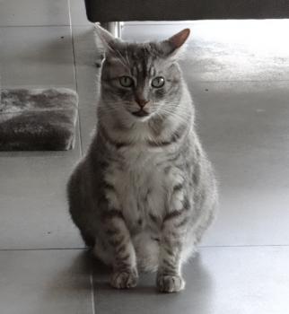 McCloud Bild von McCloud
