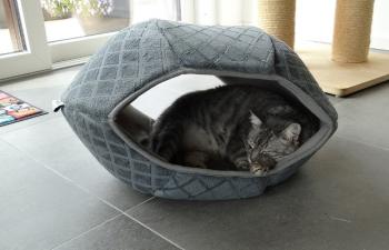 McCloud Bild von McCloud
