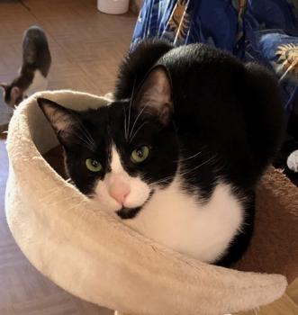 Pamino Bild von Pamino