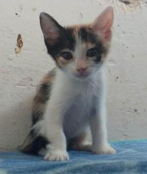 Frida Bild von Frida