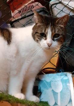 Violeta Bild von Violeta