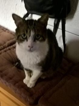 Curro Bild von Curro
