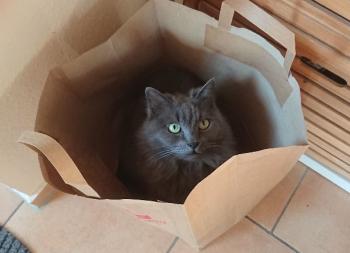 Bild von Yasmin