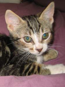 Giulieta Bild von Giulieta