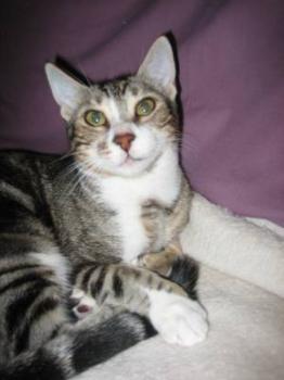 Giulieta Bild von Giulieta