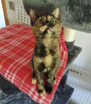 Coco Bild von Coco
