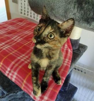 Coco Bild von Coco