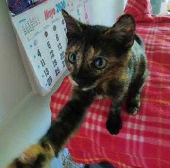 Coco Bild von Coco