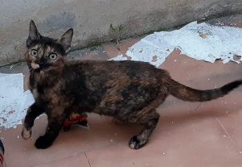 Coco Bild von Coco
