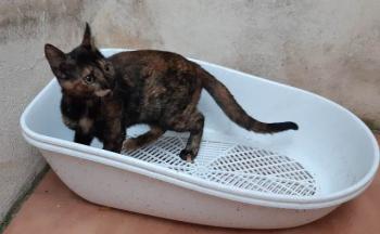Coco Bild von Coco