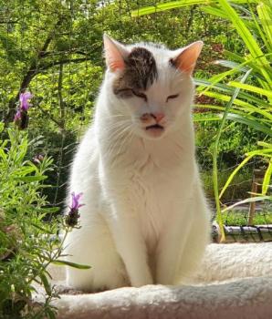 Mausi Bild von Mausi