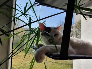 Mausi Bild von Mausi