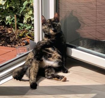 Jenny Bild von Jenny