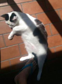 Ronnie Bild von Ronnie