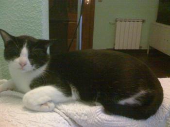 Equis Bild von Equis