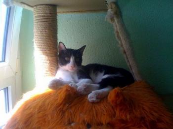 Equis Bild von Equis