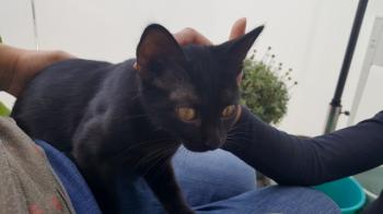 Sofia Bild von Sofia