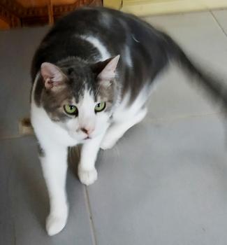 Selina Bild von Selina