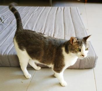 Selina Bild von Selina
