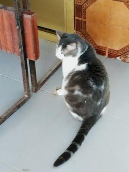 Selina Bild von Selina