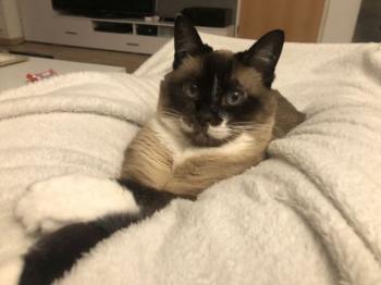 Nora Bild von Nora
