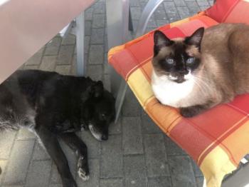 Nora Bild von Nora