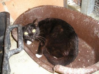 Ohne Bild von Cassidy