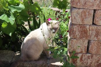 Tatan Bild von Tatan