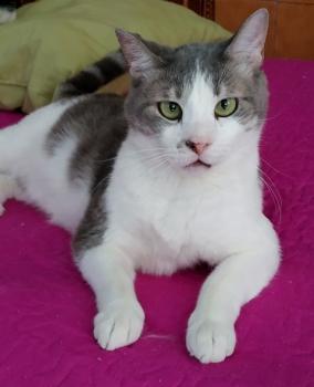 Selina Bild von Selina
